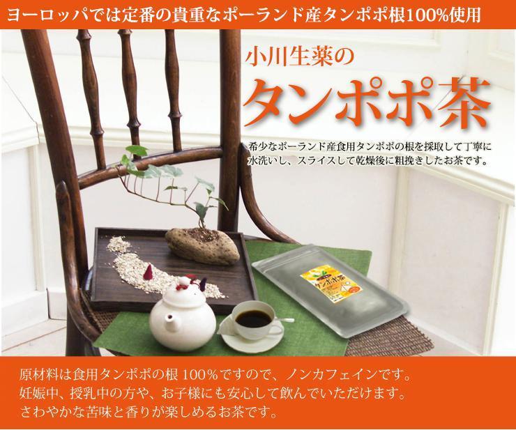 384円 【90％OFF】 チャーガティー カバノアナタケ茶 30包 DM便送料無料